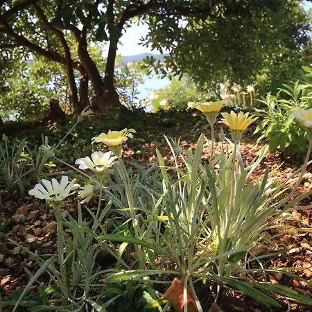 - Perna 4542c 아파트 쿠치슈테