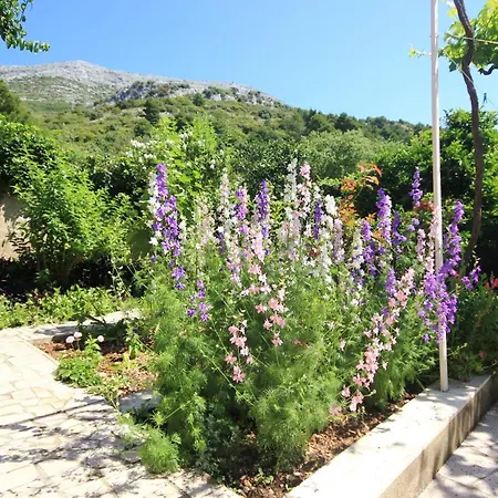 - Perna 4542c Apartamento Kuciste