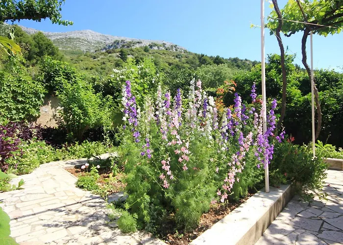 - Perna 4542c דירה קוצ'ישטה